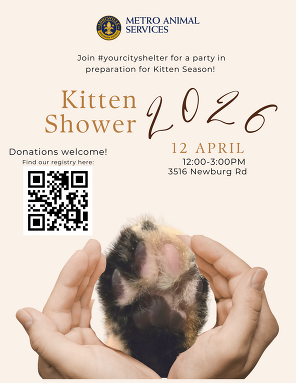 Kitten Shower