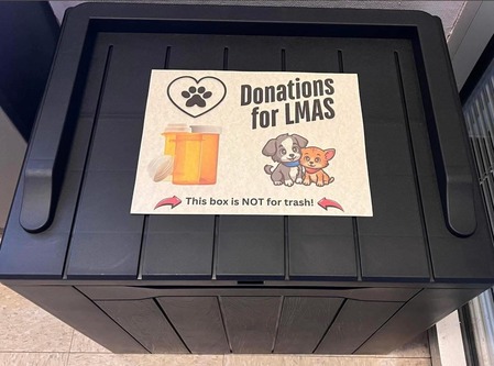 Newsletter 4/3 Image