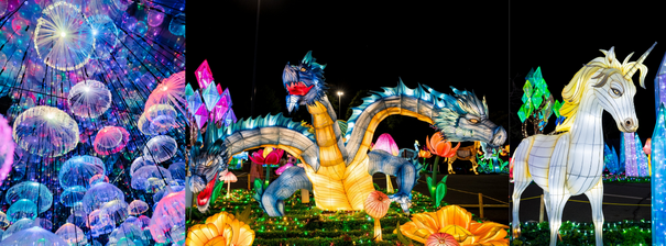 Bigger, Bolder, Brighter!