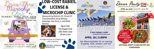 animal services
