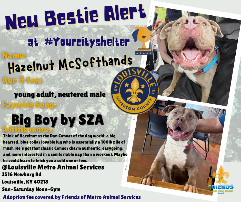 HazelMcSofty