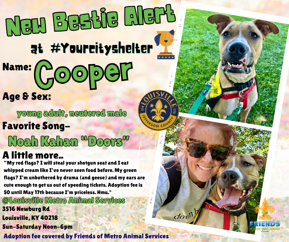 cooper