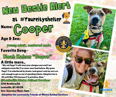 Cooper