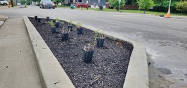S 5th Street Flowers