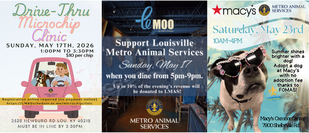 LMAS flyers