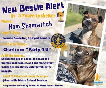 Newsletter 5/15