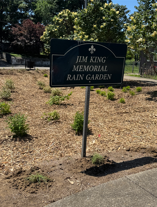 msdjimking