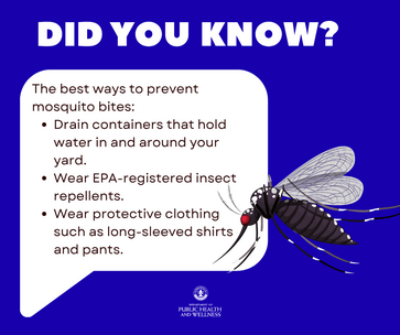 Fighting the Bite: LMPHW Ramps Up Mosquito Prevention Efforts