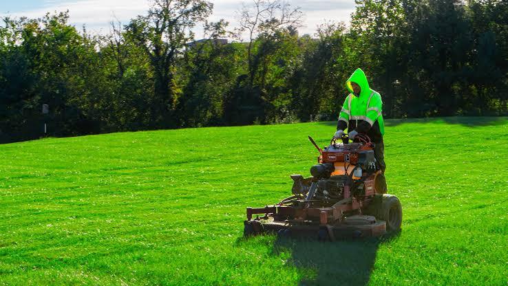 mowing