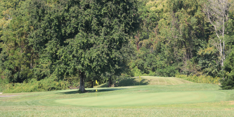 golf