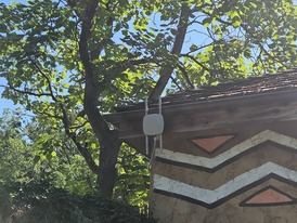 zoo 1