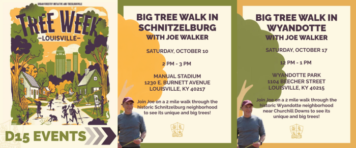 Tree Week 2026 D15