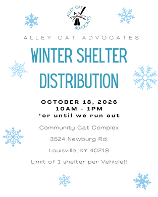 Alley Cat Shelter