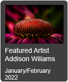 Featured Artist Addison Williams