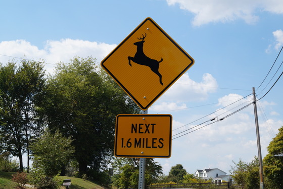 DeerCrossingSign