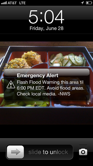 cell phone alert
