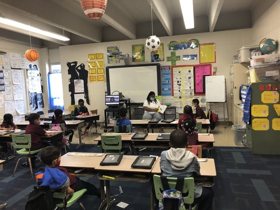 westminster lady reading