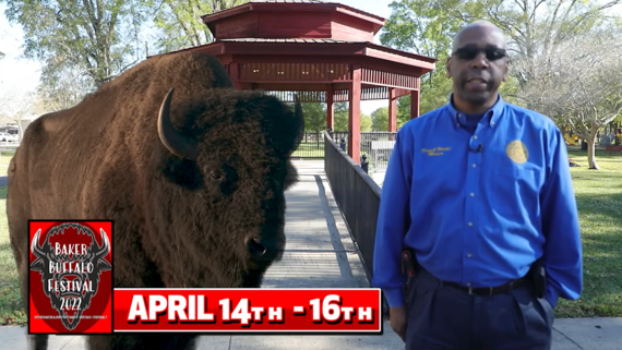 mayor waites invites you to the buffalo fest 2