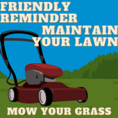 lawn