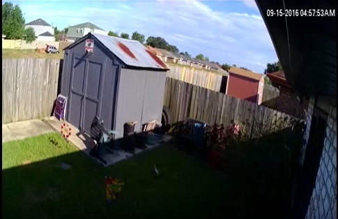 Camera Screenshot Morrison