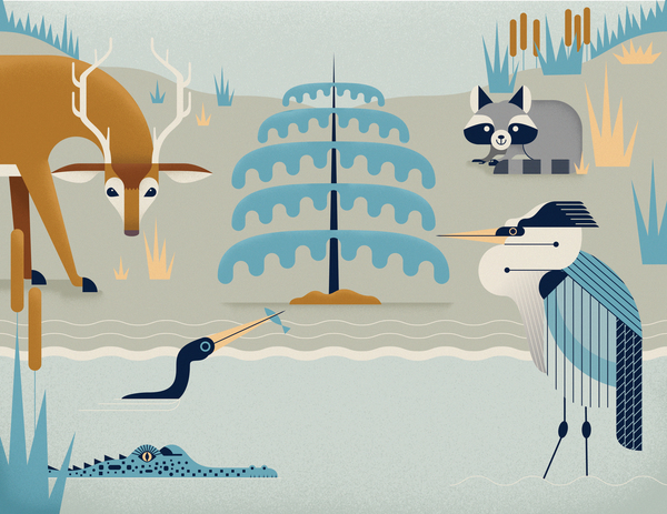 December coastal scene