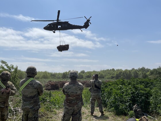 Christmas Tree Recycling Drop Off