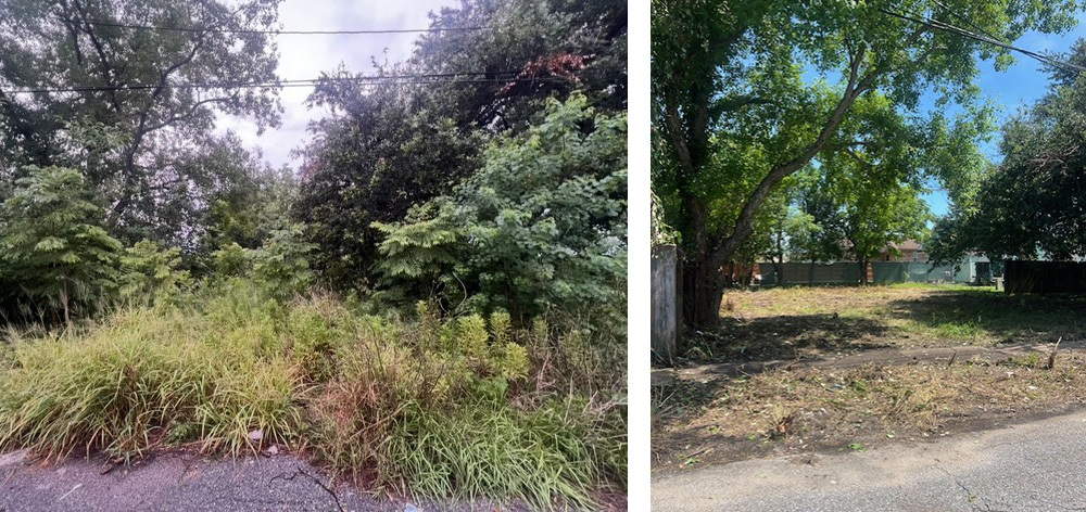 Blighted Lot Remediation