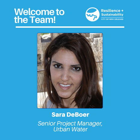 Sara