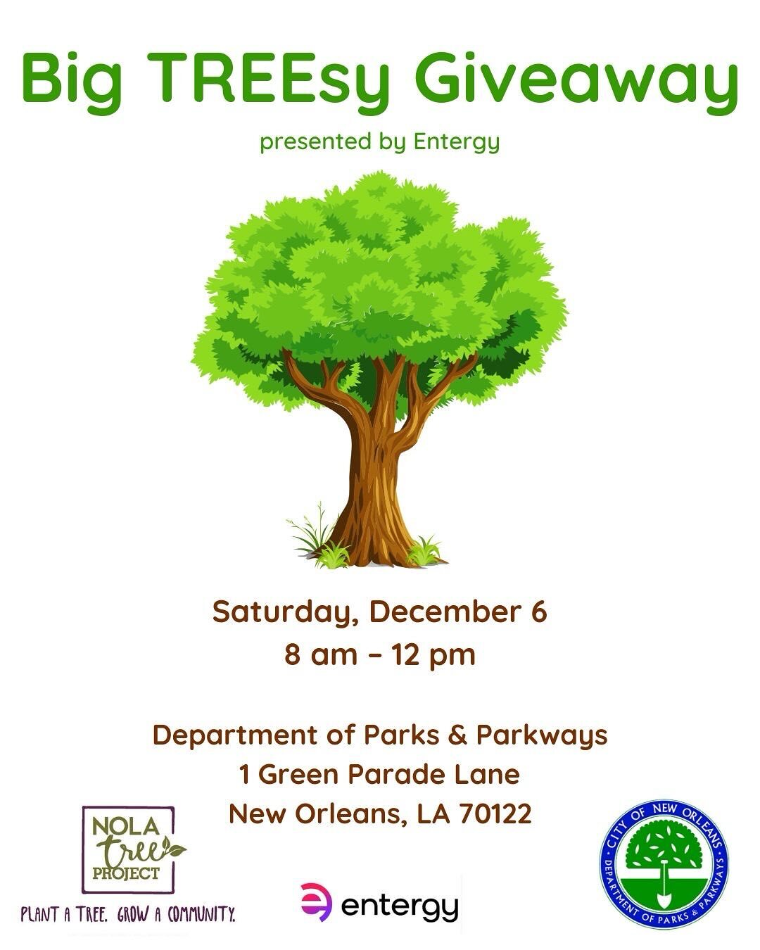 Big Treesy Giveaway