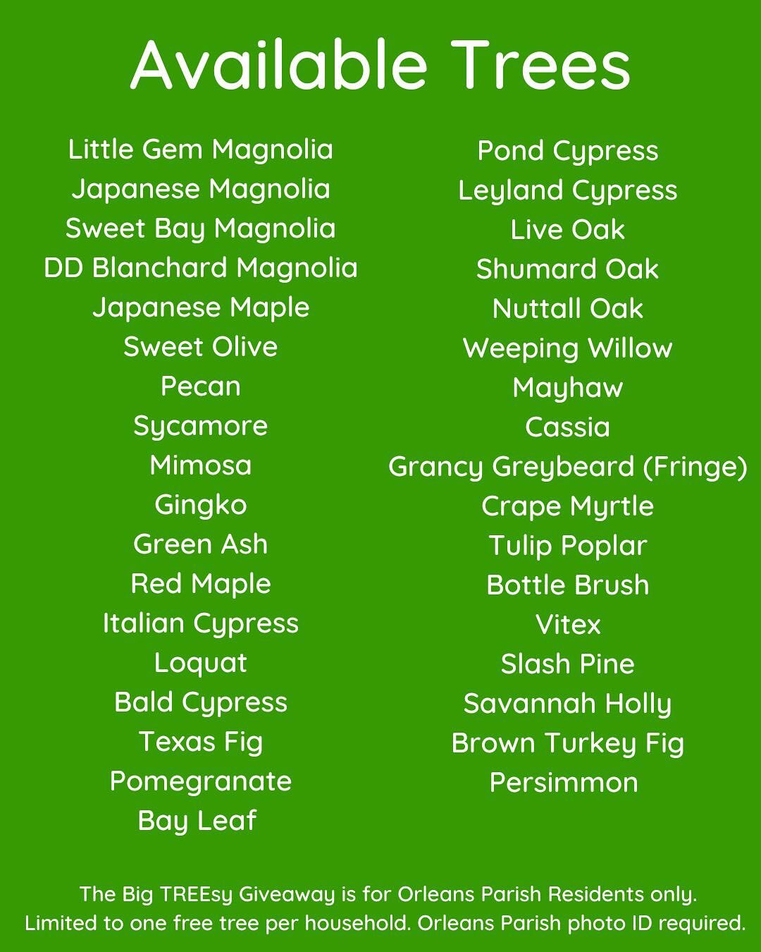Big Treesy Giveaway 2