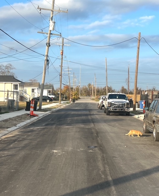 Gallier Street Before Repair