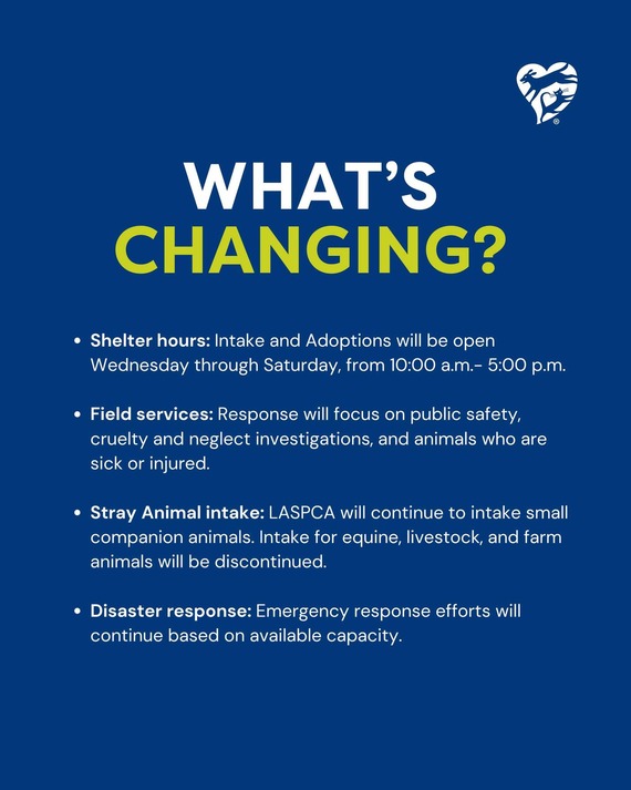 LASCPA cessation of services