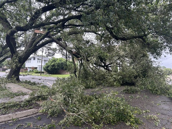 1400 Block of Aviators, New Orleans LA 70122