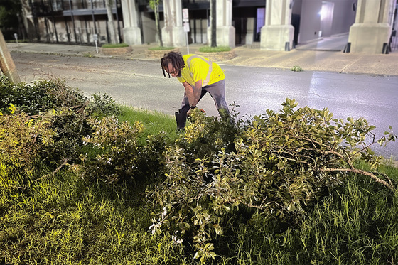 Hurricane clean-up