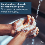 Person Washing Hands