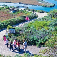 san diego parks family fun day