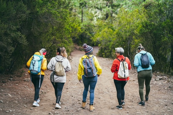 People hiking in forest