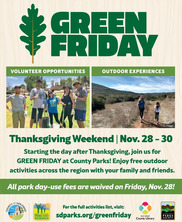 green friday 2025