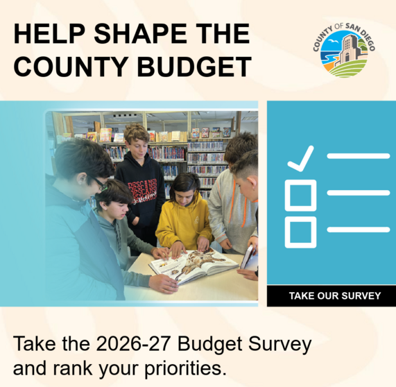 County Budget Input