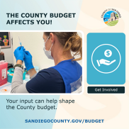 county budget