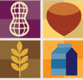 Food allergy icons - nuts, gluten, dairy