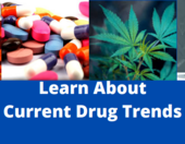 Learn about current drug trends
