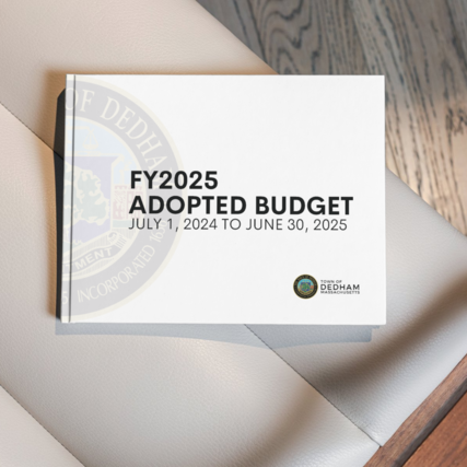 Front cover of budget book