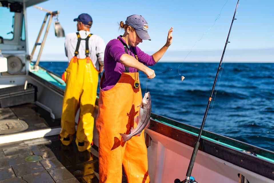 Recreational Haddock Fishing Maps Available for Download