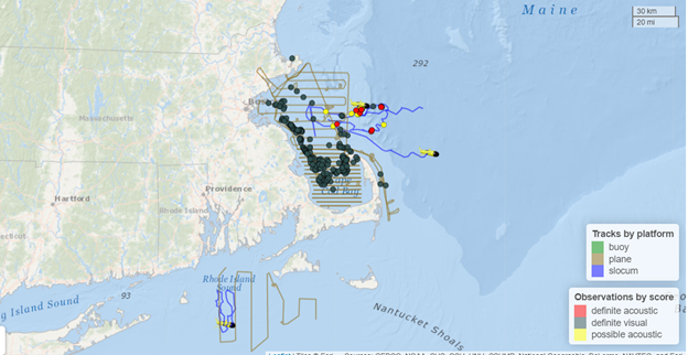 Dmf Monitoring Presence Of Right Whales In Coastal Waters