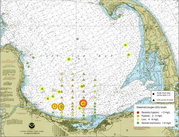 Cape Cod Bay Dissolved Oxygen Levels