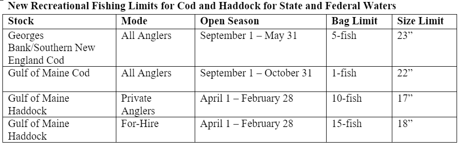 Recreational cod and haddock limits