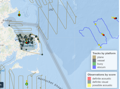 May 2025 Whale Sighting Map