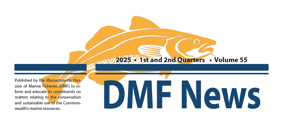 DMF Newsletter header for 2025 Q1/Q2. 