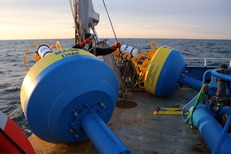 DMF and collaborators deploy near real-time passive acoustic monitoring buoys. 